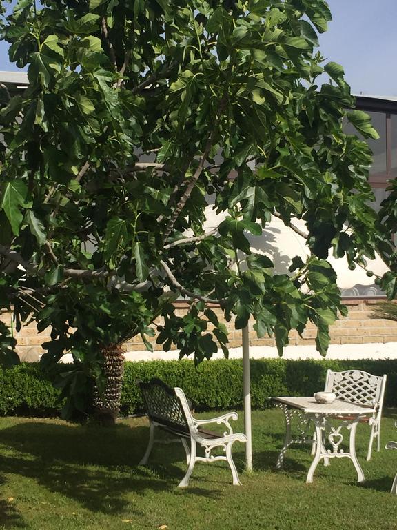 נאפולי Zia Bi Bed And Breakfast מראה חיצוני תמונה